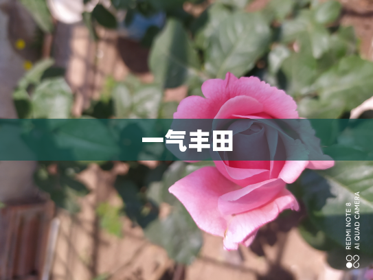 一气丰田