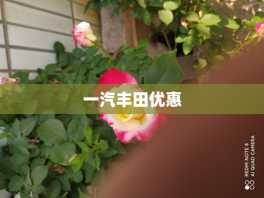 一汽丰田优惠