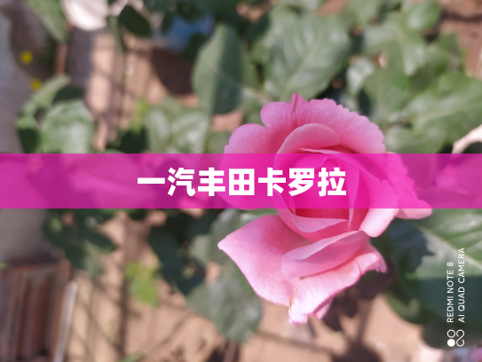 一汽丰田卡罗拉