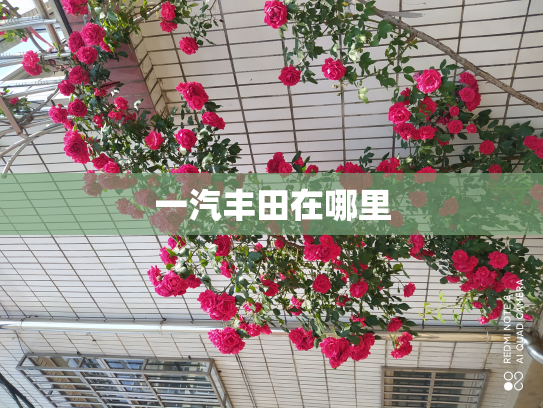 一汽丰田在哪里