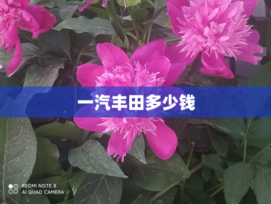 一汽丰田多少钱