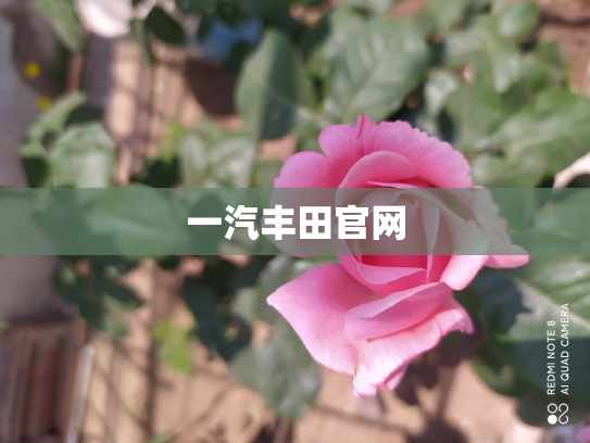 一汽丰田官网