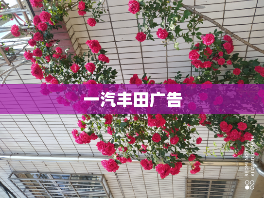 一汽丰田广告