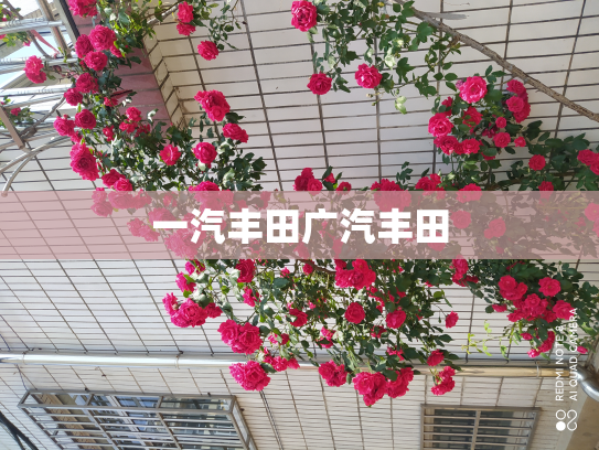 一汽丰田广汽丰田