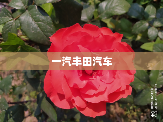 一汽丰田汽车