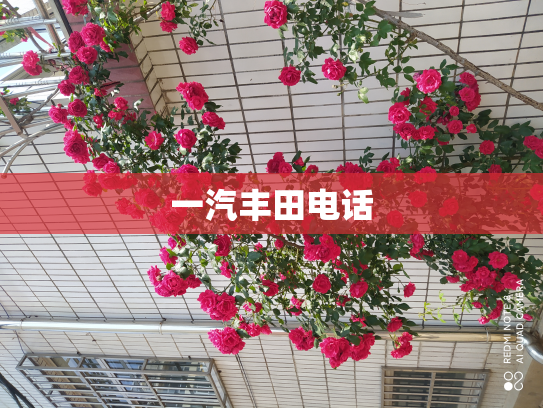 一汽丰田电话