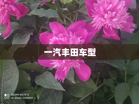 一汽丰田车型