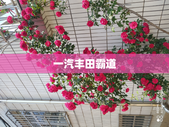 一汽丰田霸道