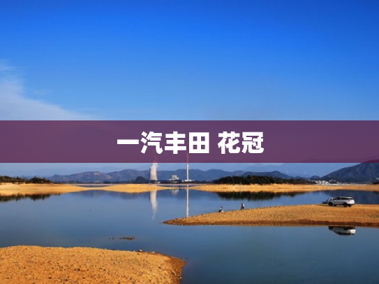 一汽丰田 花冠
