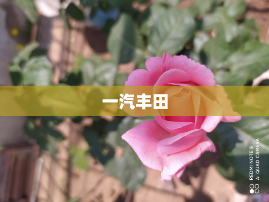 一汽丰田
