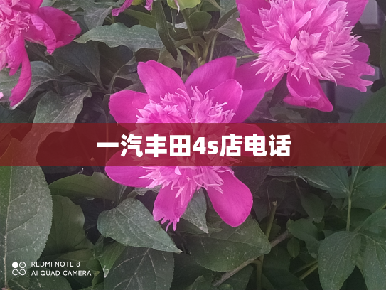 一汽丰田4s店电话