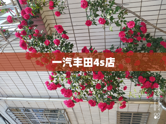 一汽丰田4s店