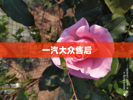 一汽大众售后