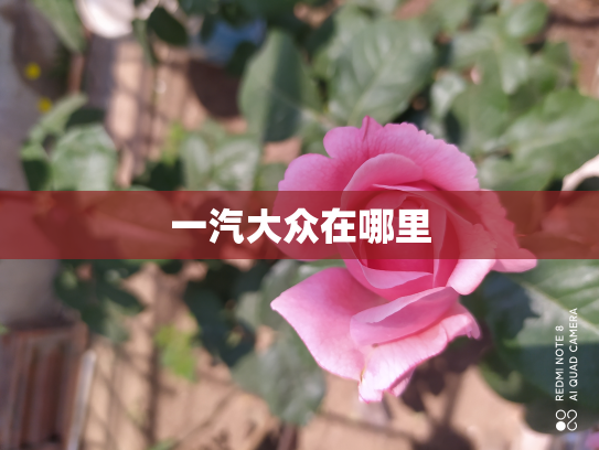 一汽大众在哪里
