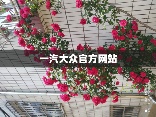 一汽大众官方网站