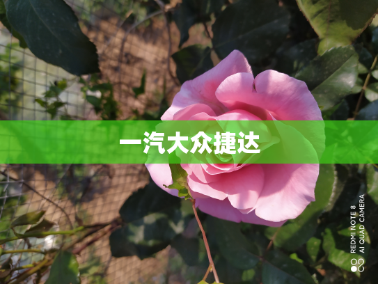 一汽大众捷达