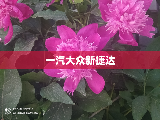 一汽大众新捷达