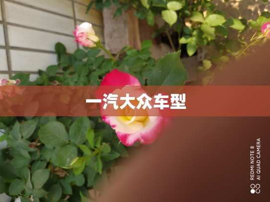 一汽大众车型