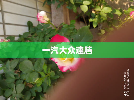 一汽大众速腾