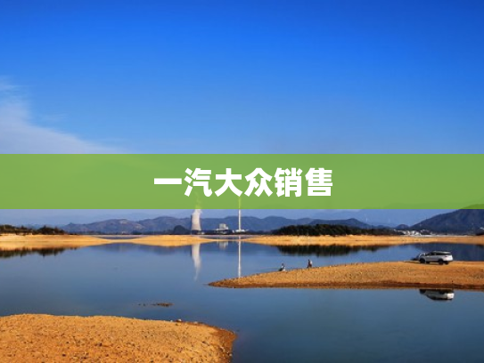 一汽大众销售