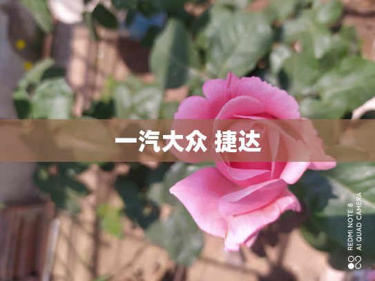 一汽大众 捷达