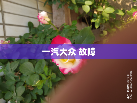 一汽大众 故障