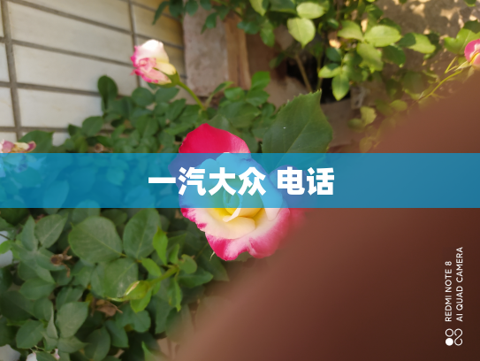 一汽大众 电话