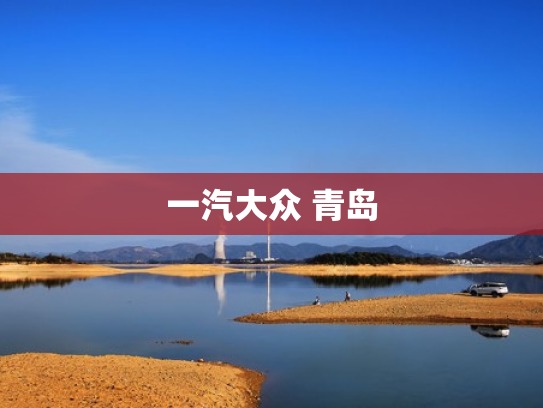 一汽大众 青岛