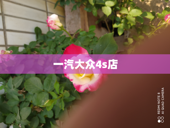 一汽大众4s店