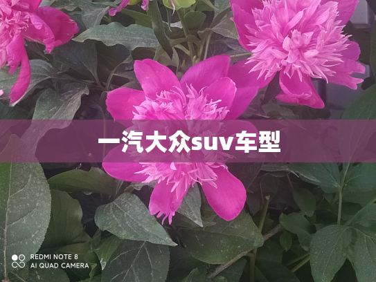 一汽大众suv车型