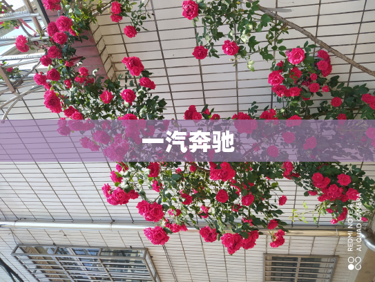 一汽奔驰