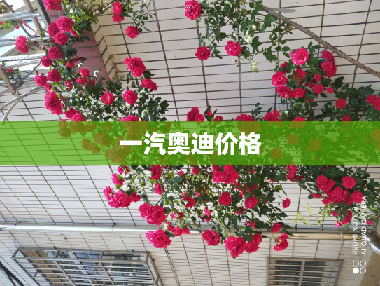 一汽奥迪价格