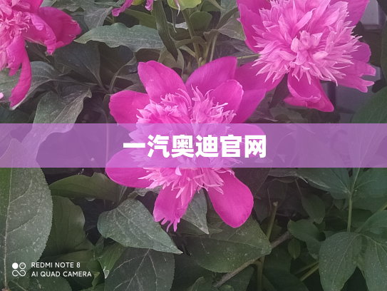 一汽奥迪官网
