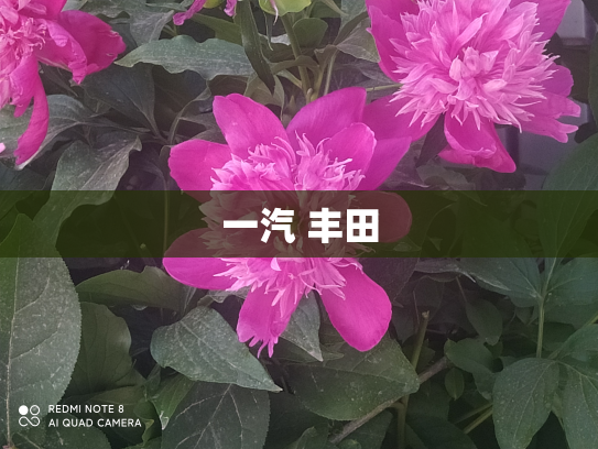 一汽 丰田