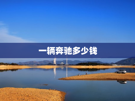 一辆奔驰多少钱