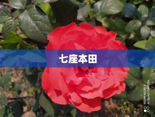 七座本田