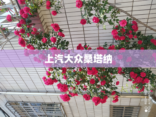 上汽大众桑塔纳