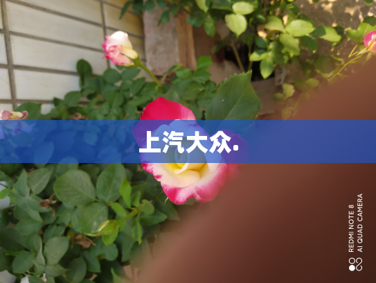 上汽大众.