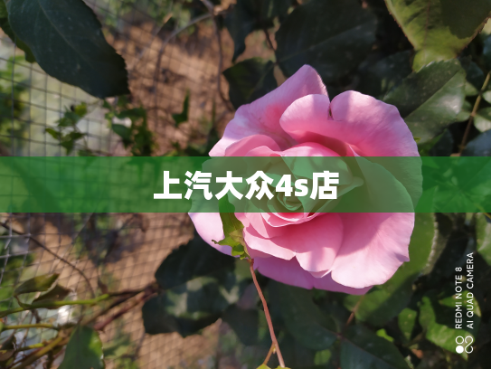 上汽大众4s店