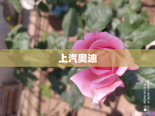 上汽奥迪