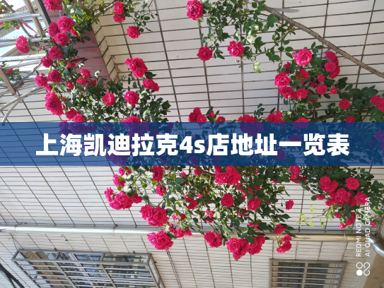 上海凯迪拉克4s店地址一览表