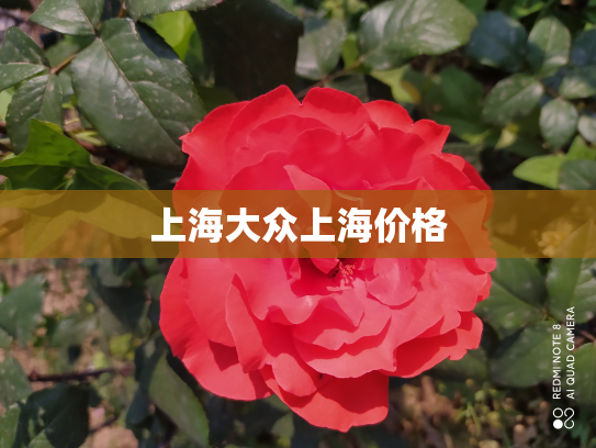 上海大众上海价格