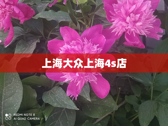 上海大众上海4s店