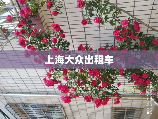上海大众出租车