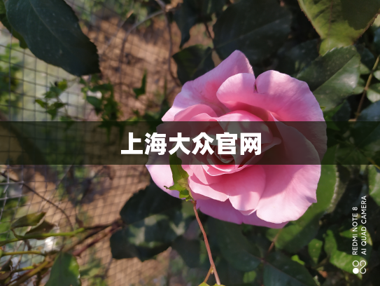 上海大众官网