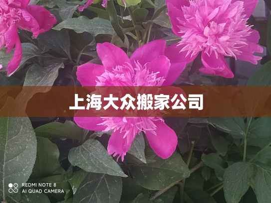上海大众搬家公司