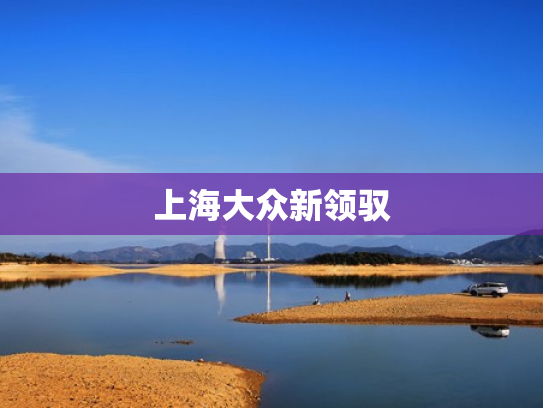 上海大众新领驭