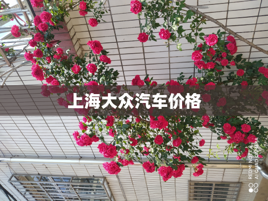上海大众汽车价格