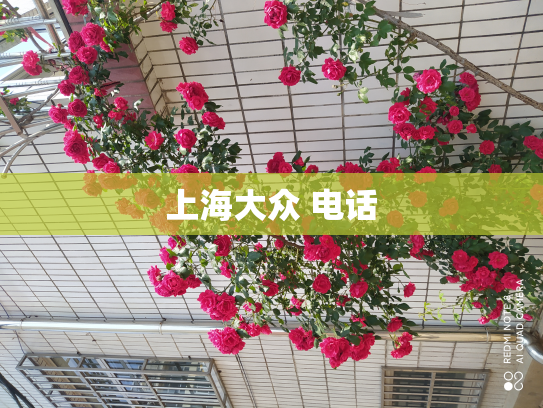 上海大众 电话