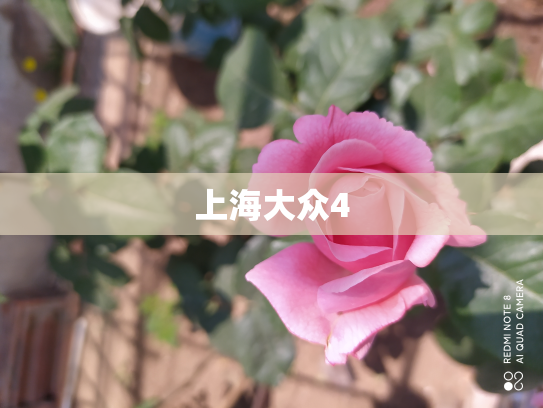 上海大众4